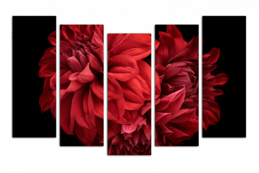 Модульная картина Красный Цветок